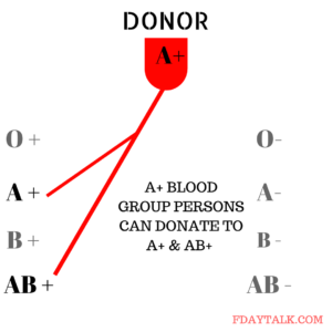 Who Can Donate Blood 