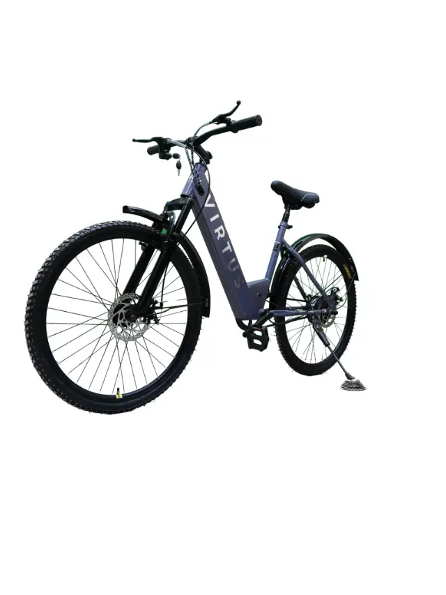 Virtus motors electric bicycle price hot sale